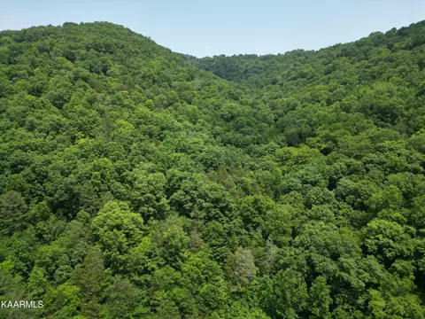 873 Long Hollow Rd, Speedwell, TN 37870