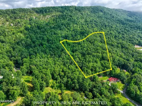 Bibee Lane, Caryville, TN 37714