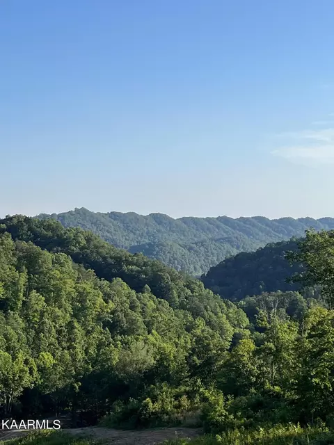 Tower Rd, Tazewell, TN 37879