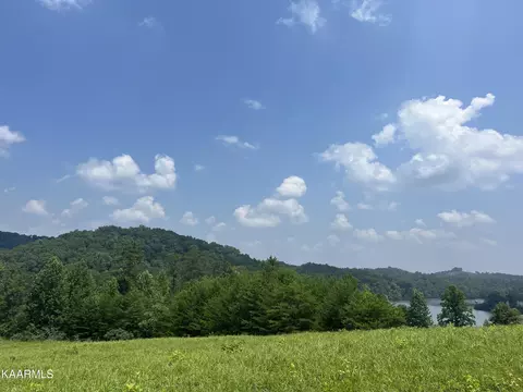 115 Clearwater Cove Dr, Madisonville, TN 37354