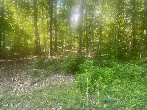 Shady Shores Lane, Kingston, TN 37763