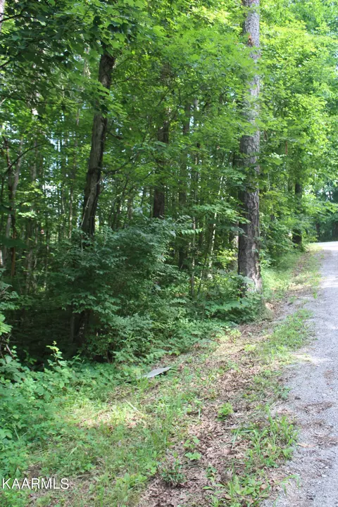 Sleepy Hollow Drive, Jamestown, TN 38556