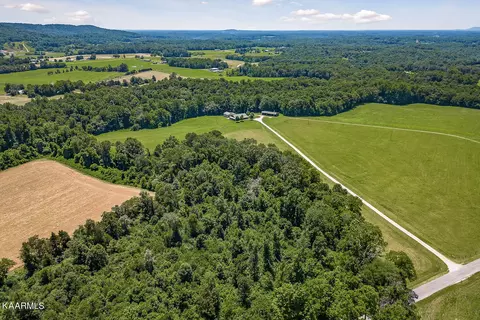 357 Betterton, Walling, TN 38587 photo 54