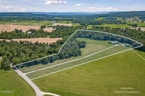 357 Betterton, Walling, TN 38587 photo 9