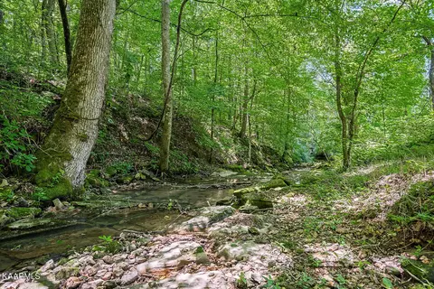 357 Betterton, Walling, TN 38587 photo 53