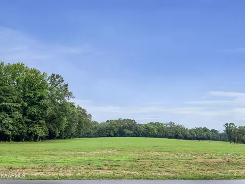 Lot 27 Sunset Blvd, White Pine, TN 37890