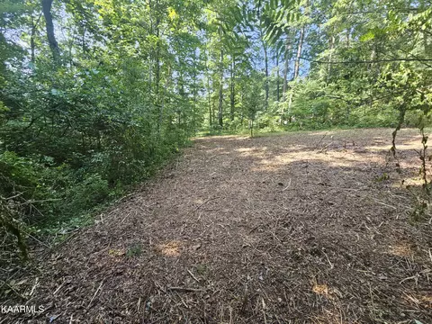 Trimmer Lane, Jamestown, TN 38556