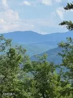 000 Honey Ln, Del Rio, TN 37727
