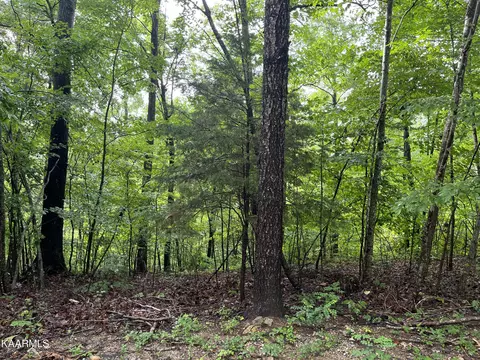 3 S 64 Ac S Of Ellison Goolsby Ln, Bloomington Springs, TN 38545