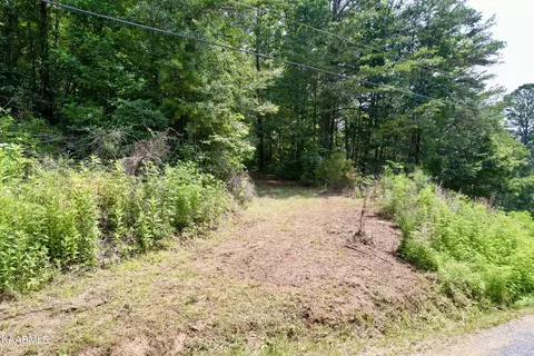 334 Huddleston Dr, Cosby, TN 37722