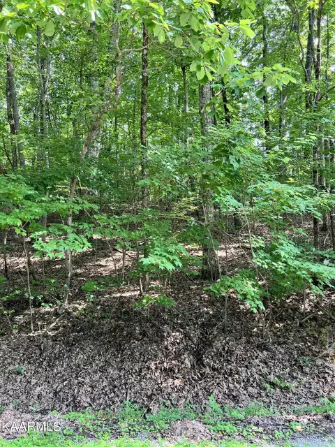 146 Shore Ln, Crossville, TN 38558
