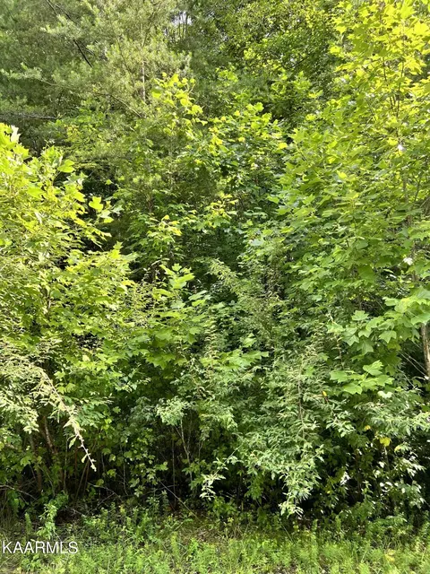 25 Valarian Ter, Crossville, TN 38558