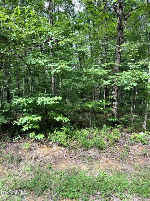 313 Beachwood Dr, Crossville, TN 38558
