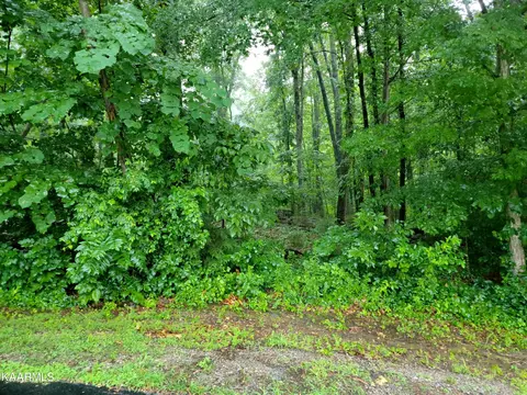 356 Dudala Trce, Loudon, TN 37774