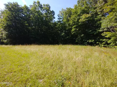 Crest View Drive, Sunbright, TN 37872