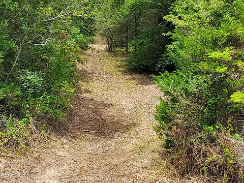 00 Panther Creek Rd, Sneedville, TN 37869