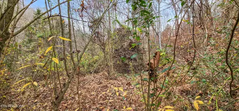 1523 Walker Ford Rd, Maynardville, TN 37807