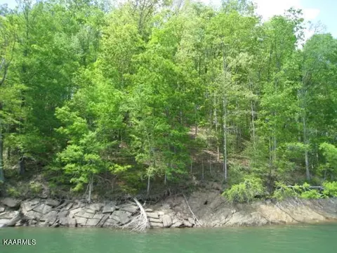 Driftwood Court, New Tazewell, TN 37825