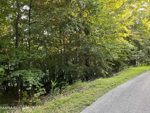 New Hope Rd, Rockwood, TN 37854