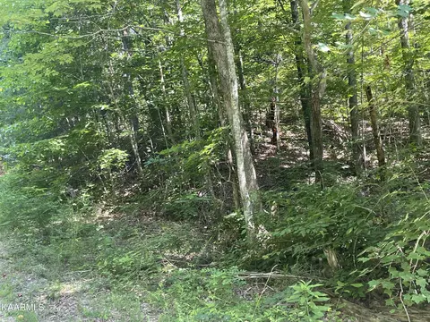 Lot #58 Dogwood Court, Sevierville, TN 37876