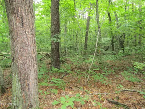 27 Fern Place, Monterey, TN 38574