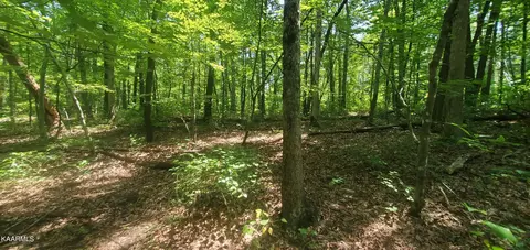 Cliff Park Rd, Monterey, TN 38574