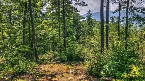 Hawk View Rd, Townsend, TN 37882 photo 2