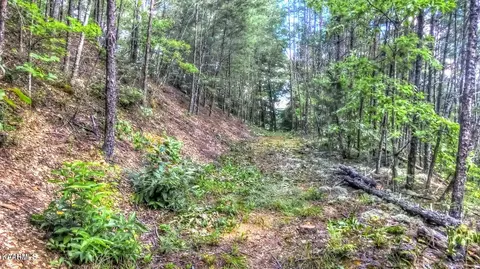Hawk View Rd, Townsend, TN 37882 photo 3