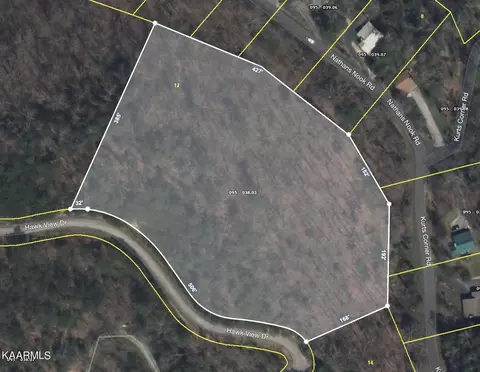 Hawk View Rd, Townsend, TN 37882 photo 4