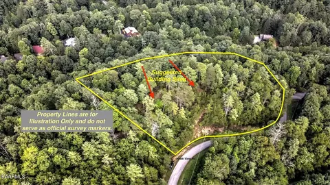 Hawk View Rd, Townsend, TN 37882 photo 8