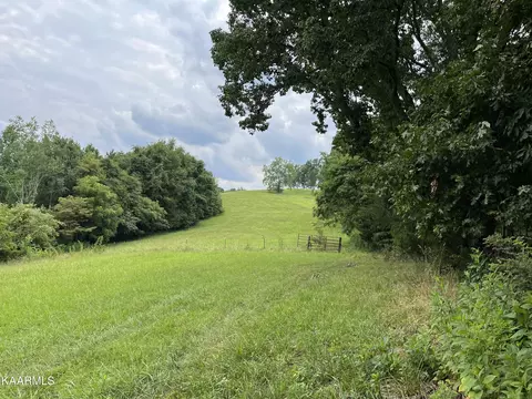 Little Sycamore Rd, Tazewell, TN 37879