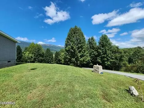 1060 Dr Thomas Walker Rd, Ewing, VA 24248 photo 28