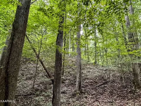 Moores Gap Rd, Heiskell, TN 37754 photo 20