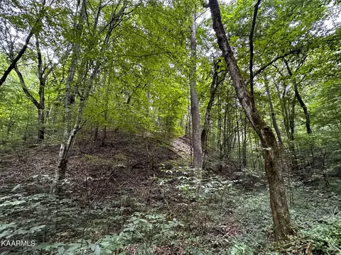 Moores Gap Rd, Heiskell, TN 37754 photo 17