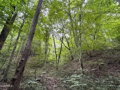 Moores Gap Rd, Heiskell, TN 37754 photo 16