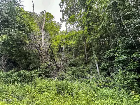 Moores Gap Rd, Heiskell, TN 37754 photo 10