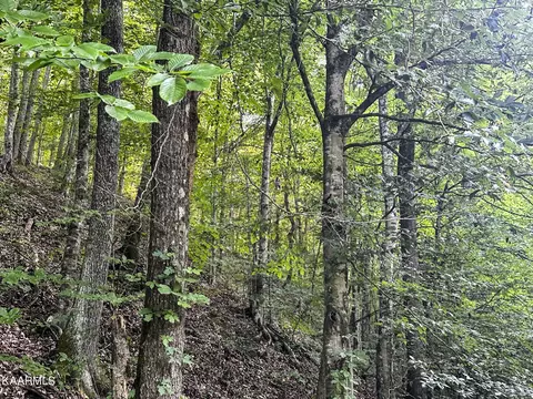 Moores Gap Rd, Heiskell, TN 37754 photo 8
