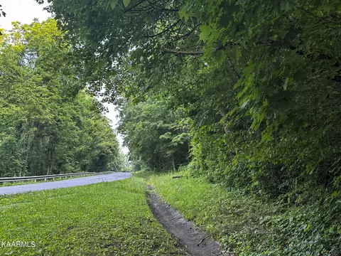Moores Gap Rd, Heiskell, TN 37754 photo 9