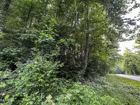 Moores Gap Rd, Heiskell, TN 37754 photo 12