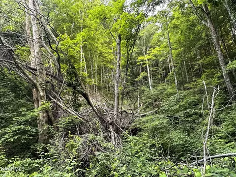 Moores Gap Rd, Heiskell, TN 37754 photo 13