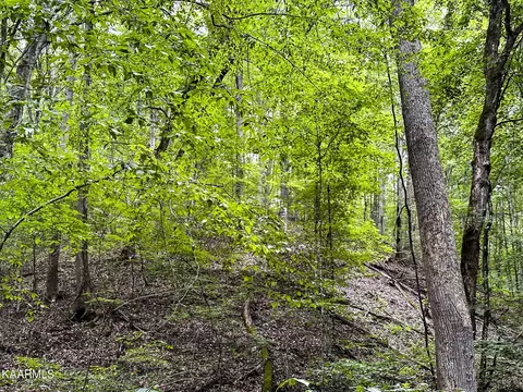 Moores Gap Rd, Heiskell, TN 37754 photo 18