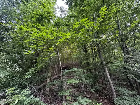 Moores Gap Rd, Heiskell, TN 37754 photo 5