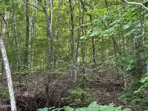 Moores Gap Rd, Heiskell, TN 37754 photo 6