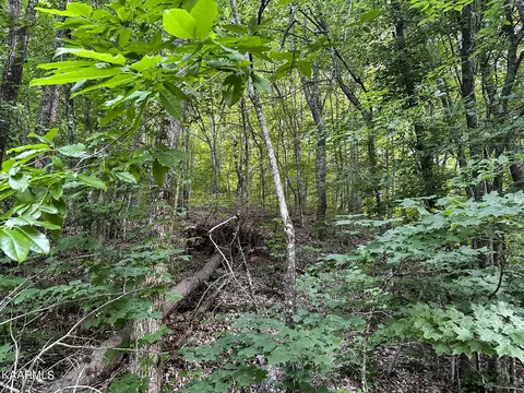 Moores Gap Rd, Heiskell, TN 37754 photo 4