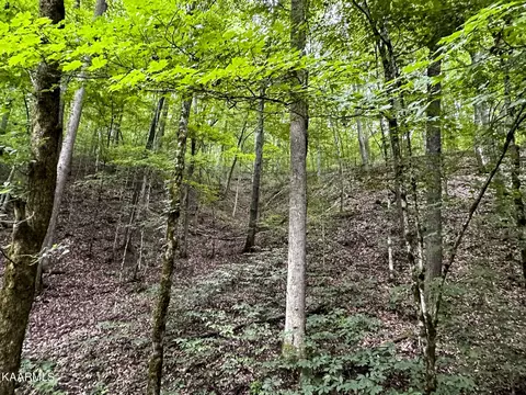 Moores Gap Rd, Heiskell, TN 37754 photo 22