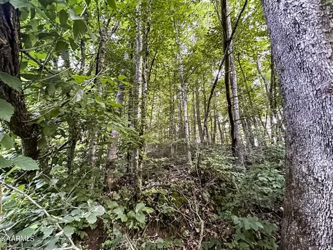 Moores Gap Rd, Heiskell, TN 37754 photo 15