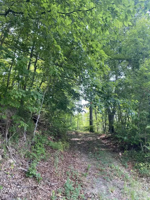0 Cooney Hollow Rd, Jonesville, VA 24263