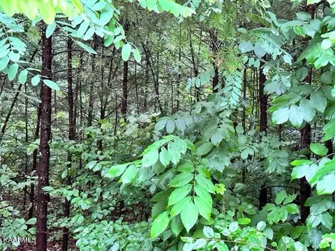 Dudley Drive, Sevierville, TN 37876