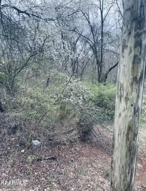 Andes Rd, Knoxville, TN 37914