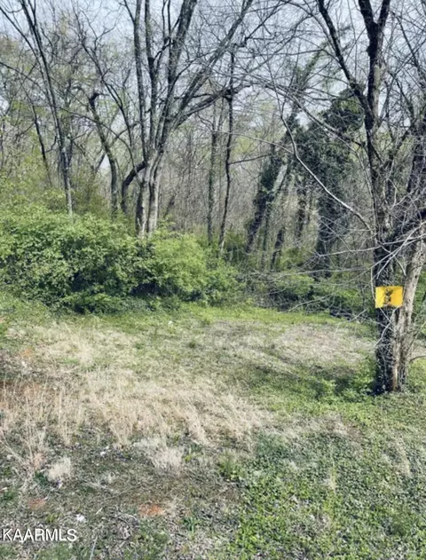 Andes Rd, Knoxville, TN 37914